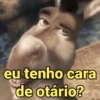 eu tenho cara de otário?