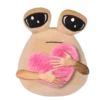 POU SAD 6
