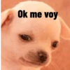 Ok me voy
