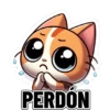 Perdón 😔 13