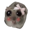 Ratita Triste 12