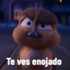 patos! 12