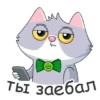 By @tg_Tim_stikers 14