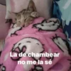 😂Gatitos Cura Depresión🙀 5
