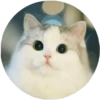 Meow (@Pro100Artem) — @stckrRobot 14