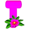 Розовый алфавит с цветком 🌺 10