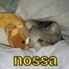 mix de memes 🫡 11