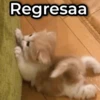 Mix de Animalitos! 🐶 6