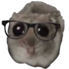 Ratita Triste 13