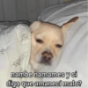 💥Shitpost 29💣 10
