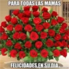 PARA TI MAMITA 13