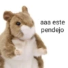 Pack Enojo Shitpost 😡🤬 2 6