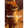Al chile bro 🤣 7