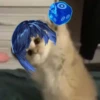 Tiny genshin cats 15