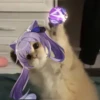 Tiny genshin cats 16