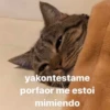 yakontestame porfaor me estoi mimiendo