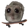 Ratita Triste 15