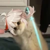 Tiny genshin cats 18