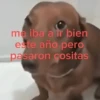 💥Shitpost 29💣 12