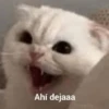 Ahí dejaaa GeysiOy
