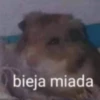 bieja miada