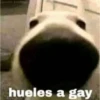 Pack Enojo Shitpost 😡🤬 2 7