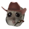 Ratita Triste 16