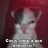 Costo, pero a que despierto?