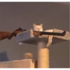 Gato atirador