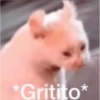 *Gritito*