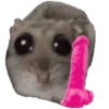 Ratita Triste 17