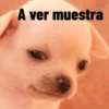 A ver muestra
