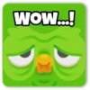 💚Duolingo Irónico~TikTok😏 11