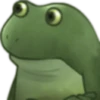 Ranita 🐸 Memes 14