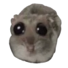 Ratita Triste 18