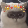 ❤️ Buenos días Amor 🥰Bza 18