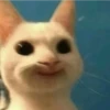 Sabés que te falta? estos🐱 20