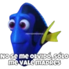 Dory olvidadiza 17