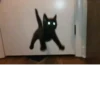 Cats mood 24