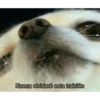 Mix de memes 😛🤪😎 17
