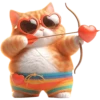 Gato millonario😺💞1🇵🇪Clásica 21