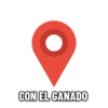 CON EL GANADO