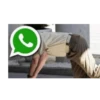 SE CAYÓ WHATSAPP 🟢📵❎️ 14