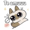 🧿Gatitos🐱🐈 19