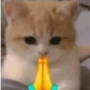 😎 STICKERS SHITPOST 3 🤙 8