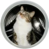 Meow (@Pro100Artem) — @stckrRobot 22