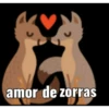 Al chile bro 🤣 12
