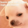 bueno dia y a los q alban ingle gus mornin