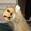 Tiny genshin cats 23