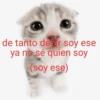 de tanto decir soy ese ya no sé quien soy (soy ese)
